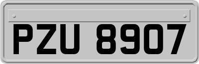 PZU8907