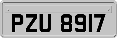 PZU8917