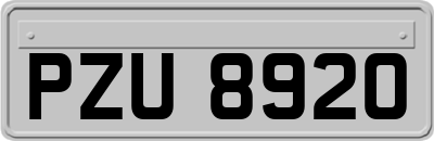 PZU8920