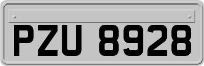 PZU8928