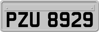 PZU8929