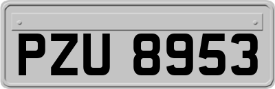 PZU8953