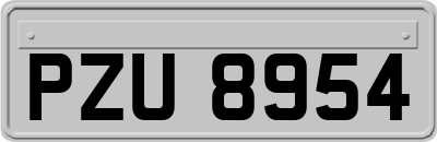 PZU8954