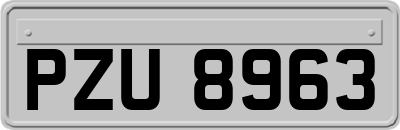 PZU8963