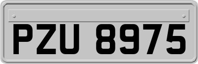 PZU8975