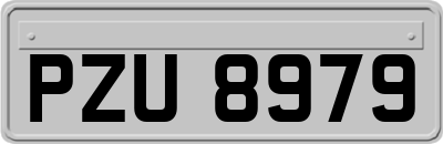 PZU8979