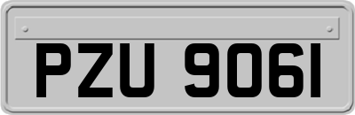 PZU9061