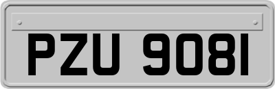 PZU9081