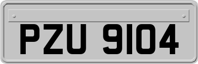 PZU9104