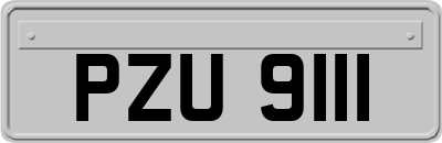PZU9111