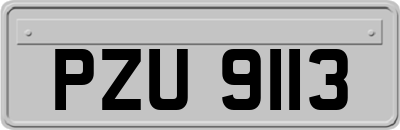 PZU9113