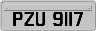 PZU9117