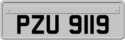 PZU9119