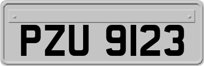 PZU9123