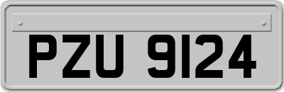 PZU9124