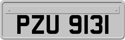 PZU9131