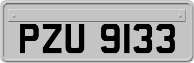 PZU9133