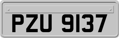 PZU9137