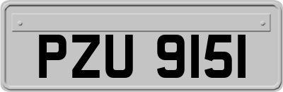 PZU9151