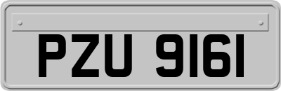 PZU9161