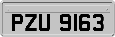 PZU9163