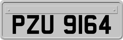 PZU9164