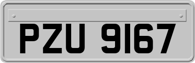 PZU9167