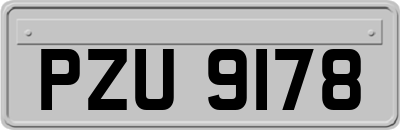 PZU9178