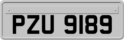 PZU9189