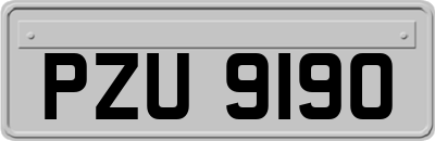 PZU9190