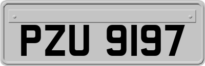 PZU9197