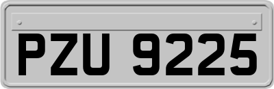 PZU9225