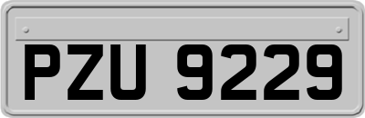 PZU9229