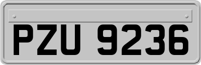 PZU9236