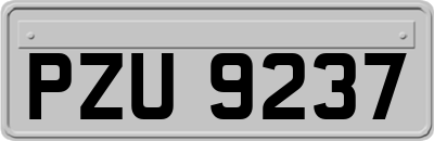 PZU9237