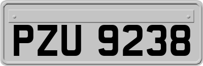 PZU9238