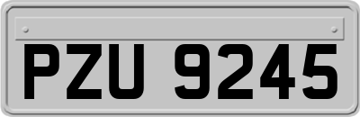 PZU9245