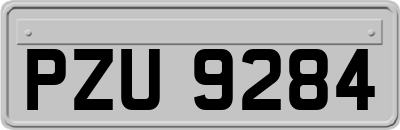 PZU9284