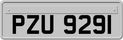 PZU9291