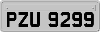 PZU9299