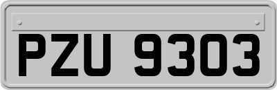 PZU9303