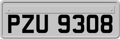 PZU9308