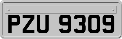 PZU9309