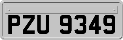 PZU9349