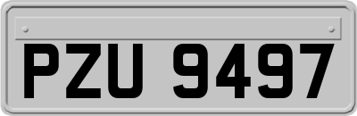 PZU9497