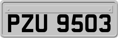 PZU9503