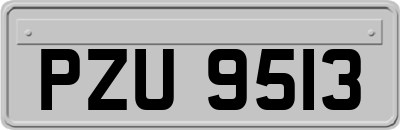 PZU9513