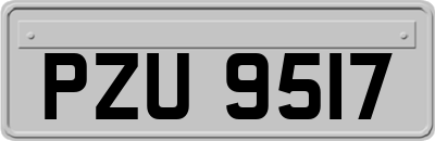 PZU9517