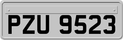 PZU9523