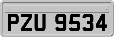 PZU9534